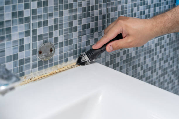 Best Insurance-Related Mold Remediation in Medford, NY